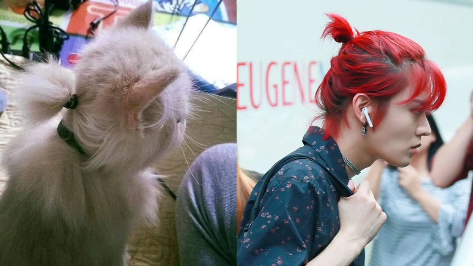 Kiyowo Banget, Ini 10+ Potret Selebriti Korea yang Mirip dengan Kucing