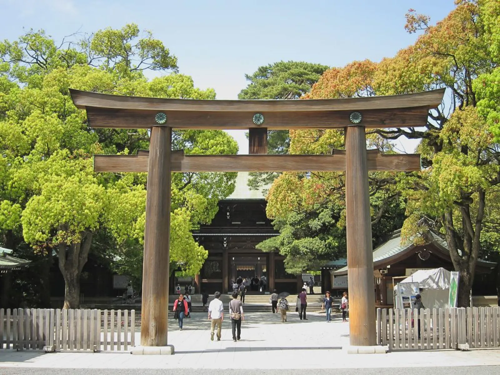 7 Fakta Kuil Meiji Jingu di Jepang, Kuil yang Menjadi Simbol Kedamaian