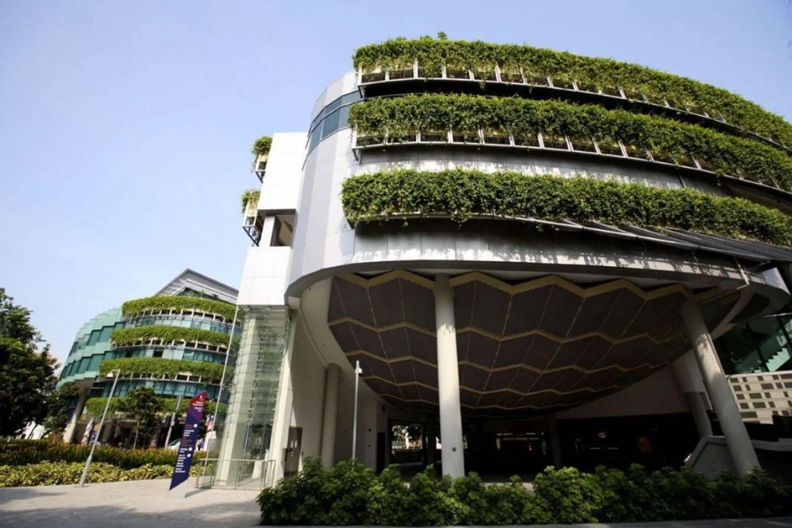 5 Top Universitas di Singapura, Jadi Incaran Mahasiswa Indonesia