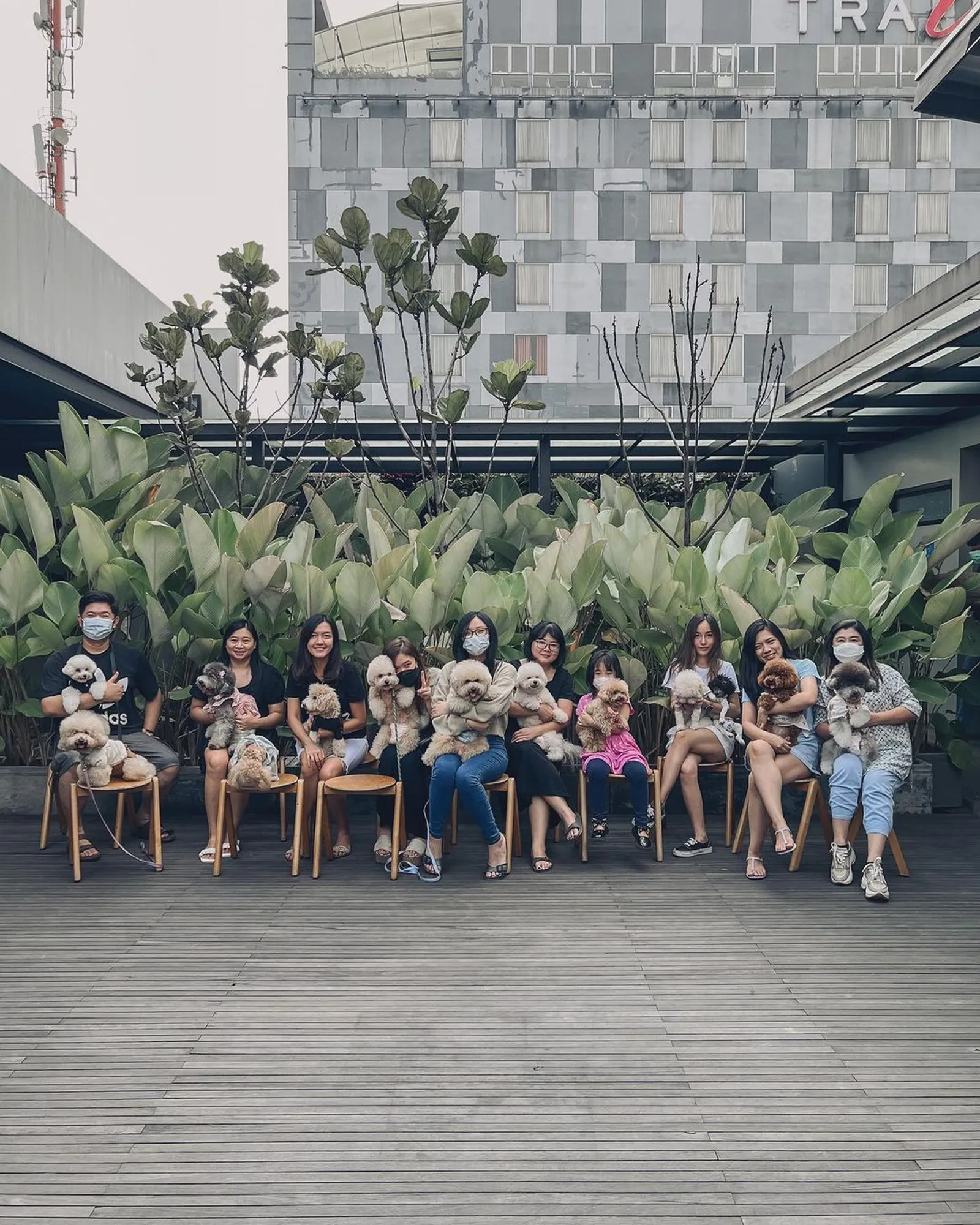 7 Rekomendasi Pet Friendly Café Bandung: Serunya Hangout Bareng Anabul