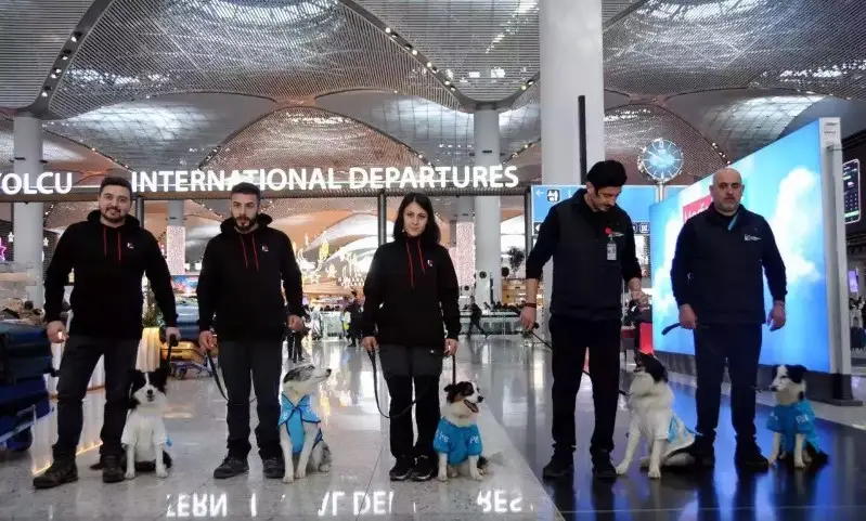 Bandara Internasional Istanbul Tawarkan Anjing Terapis untuk Penumpang