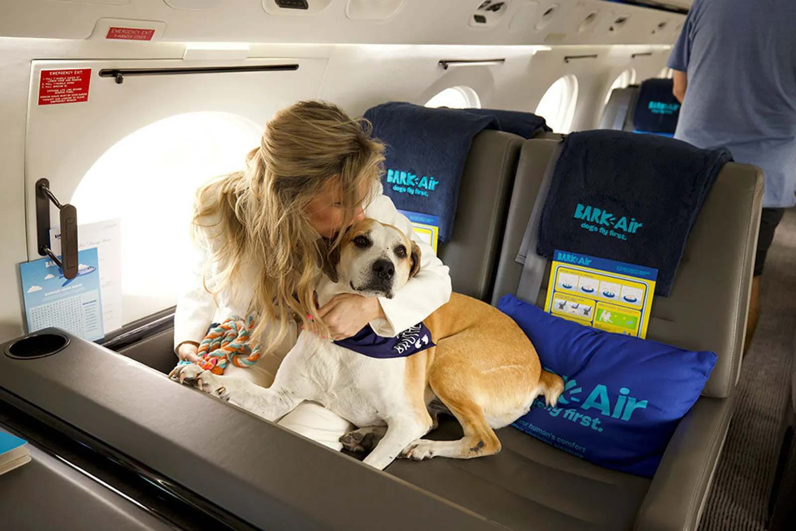 Maskapai AS Tawarkan Penerbangan First Class untuk Anjing