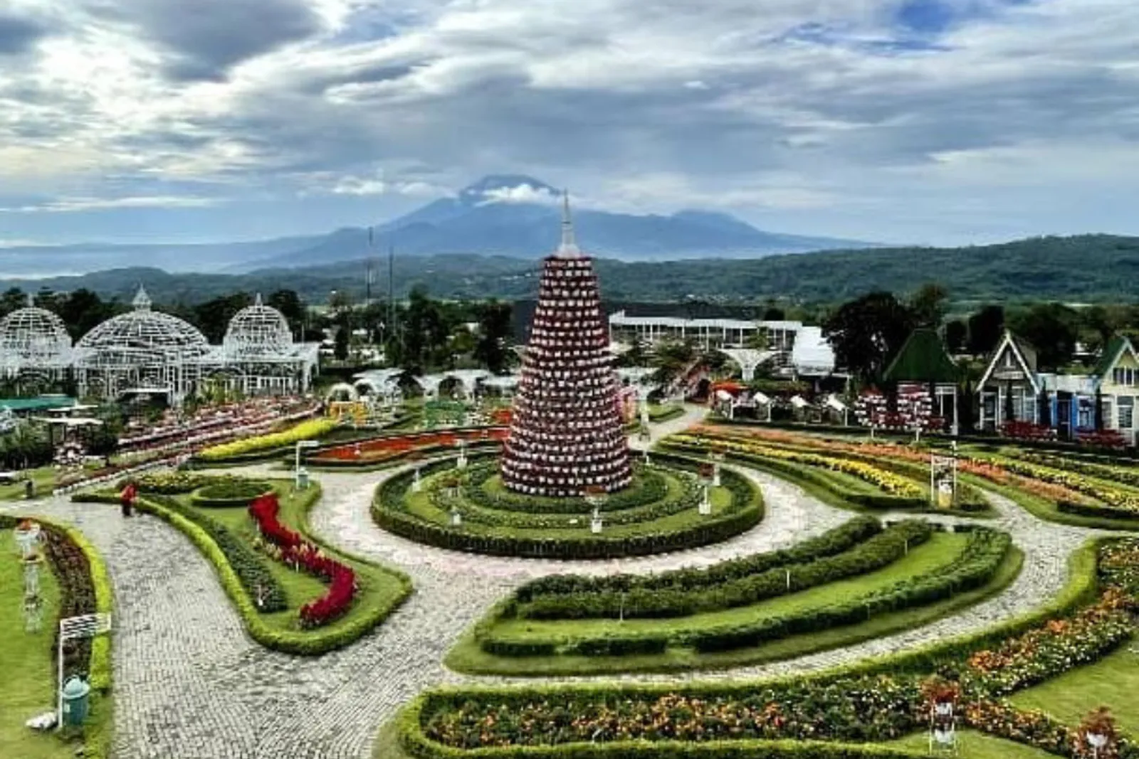 Taman Bunga Celosia Bandungan: Lokasi Hingga Daya Tariknya