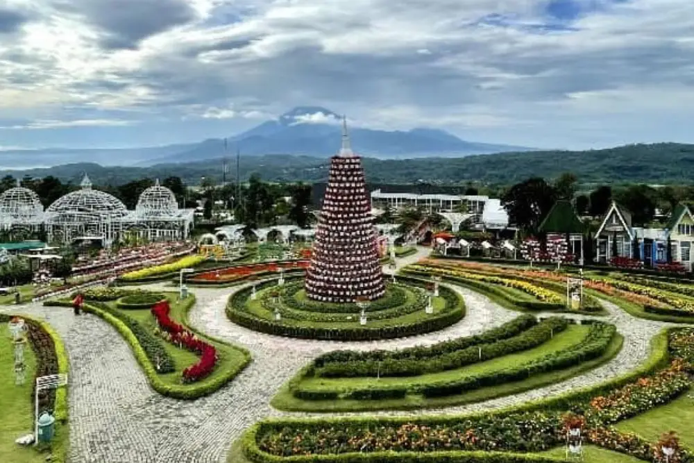 Taman Bunga Celosia Bandungan: Lokasi Hingga Daya Tariknya