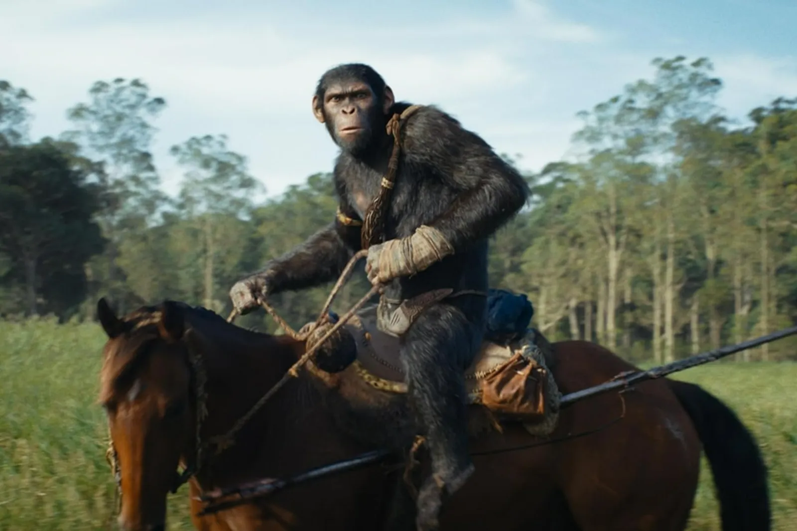 Deretan Fakta Menarik dari Film 'Kingdom of the Planet of the Apes'