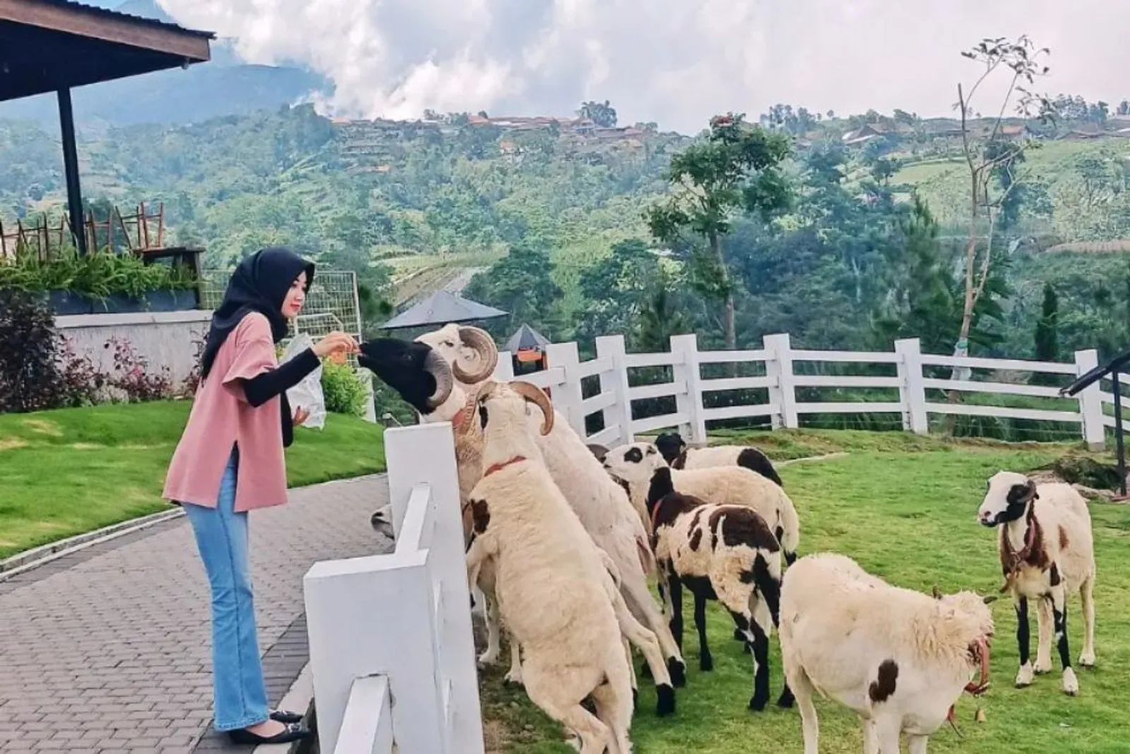 Cepogo Cheese Park: Lokasi, Jam Buka, dan Harga Tiketnya