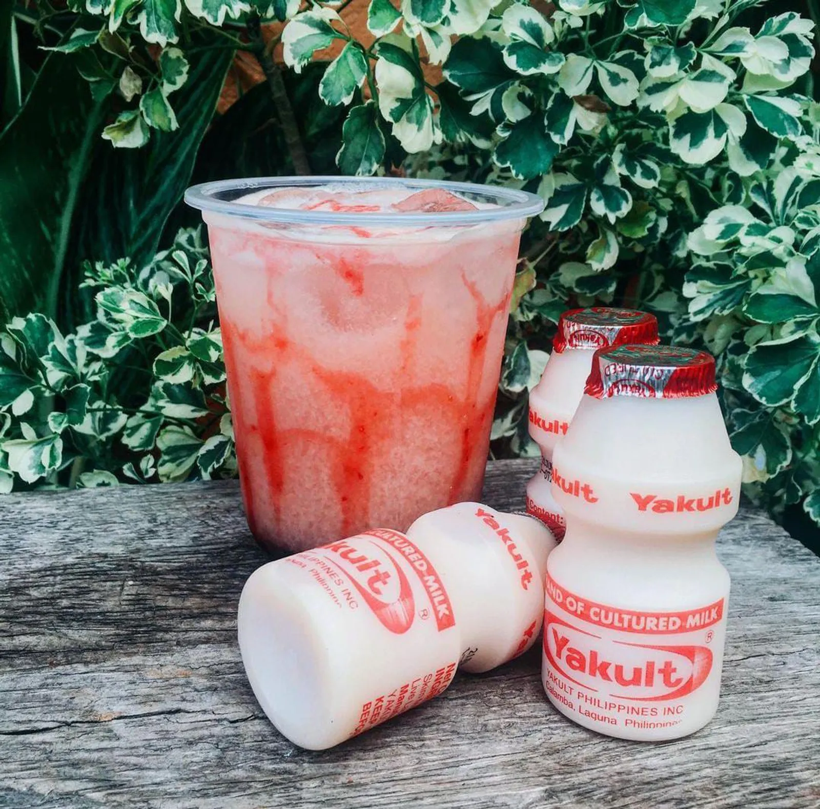 5 Kreasi Minuman Yakult Kekinian yang Segar dan Menyegarkan