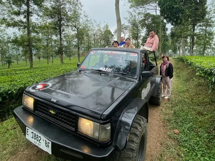 Kebun Teh Panama, Wonosobo: Lokasi, HTM, dan Aktivitas Seru