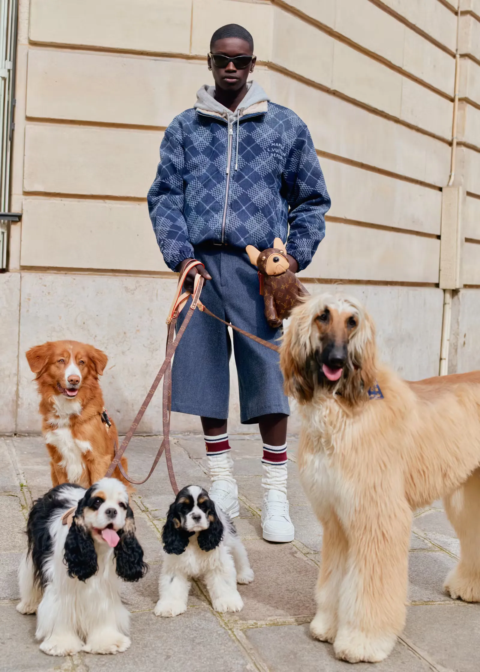 Louis Vuitton Rilis Koleksi Kapsul untuk Para Pencinta Anjing