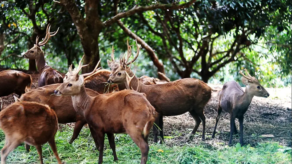 10 Wisata Hits di Gresik yang Wajib Kamu Kunjungi, Ada Bukit dan Pulau