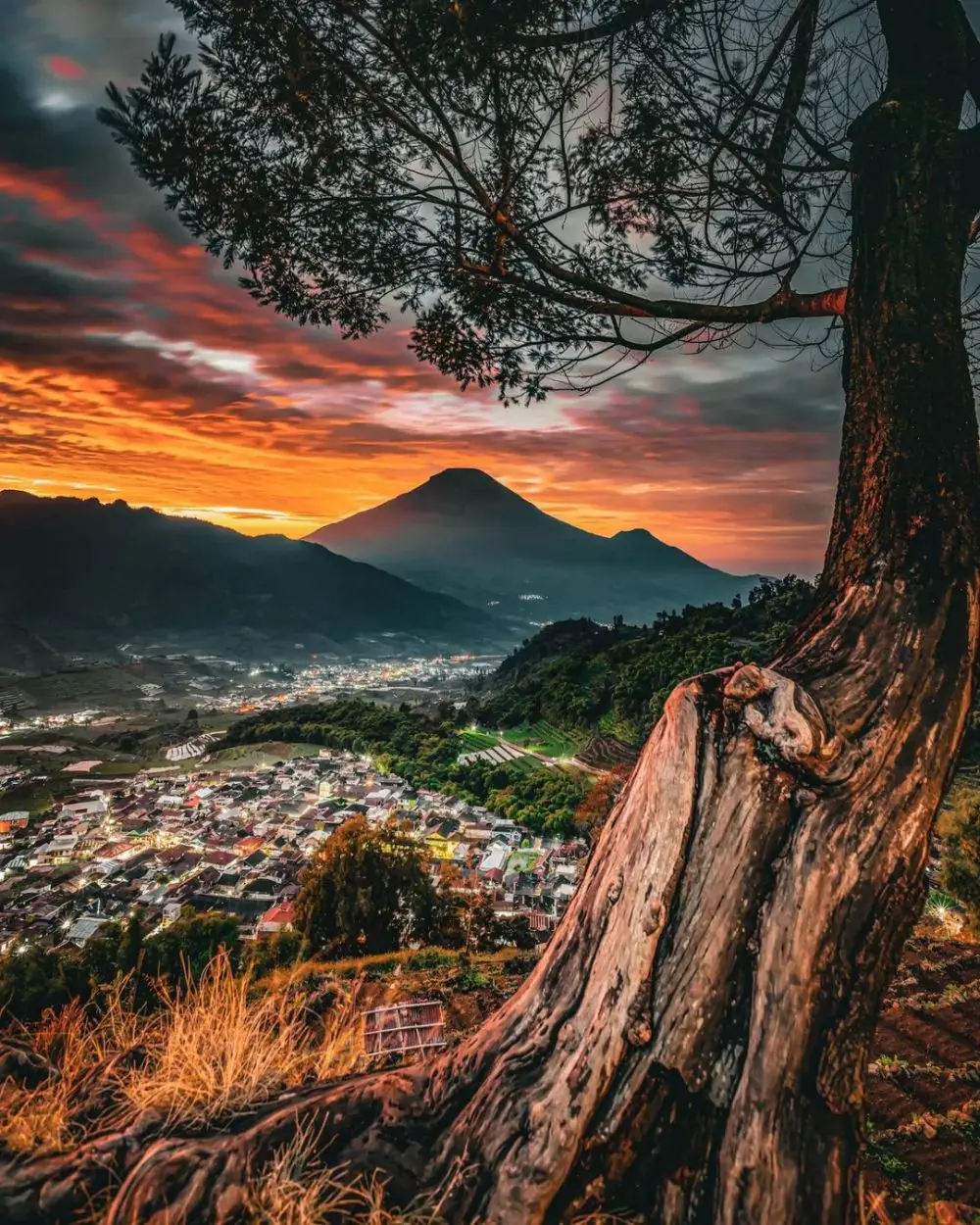 Wisata Gardu Pandang Tieng Dieng: Harga Tiket, Rute dan Daya Tariknya