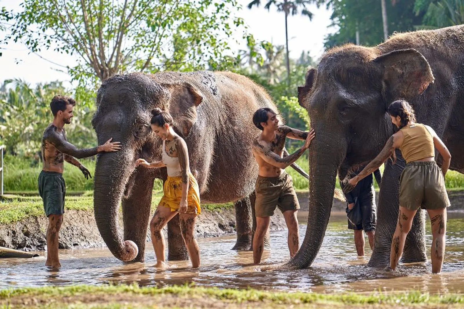 4 Keseruan Aktivitas di Bali Zoo, Cocok untuk Pencinta Hewan!