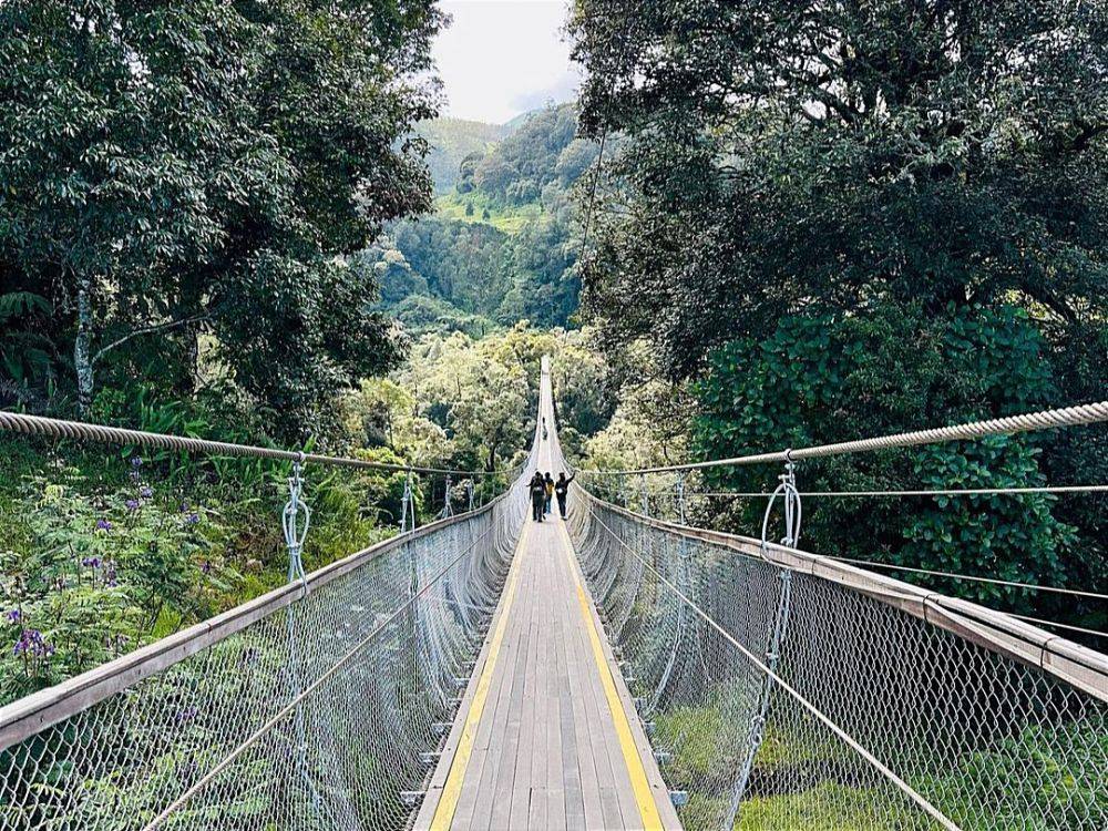 Harga Tiket, Rute Dan Daya Tarik Rengganis Suspension Bridge