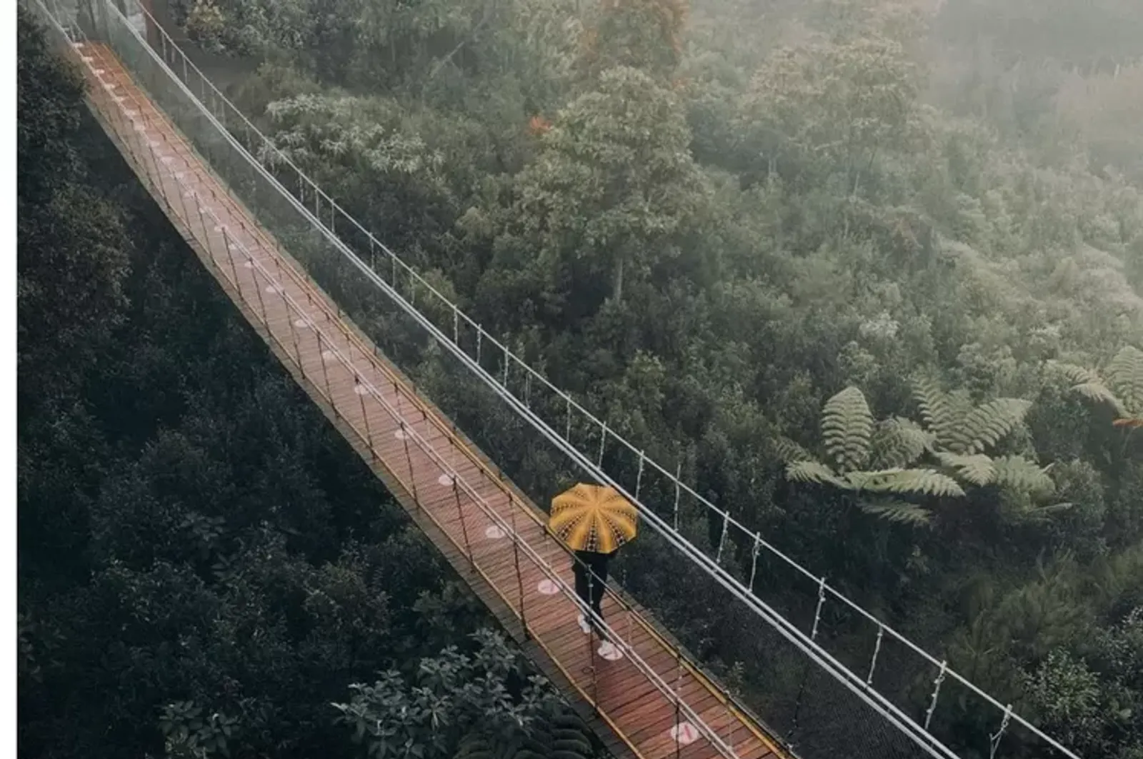 Jelajah Rengganis Suspension Bridge, Jembatan Terpanjang di Jawa Barat