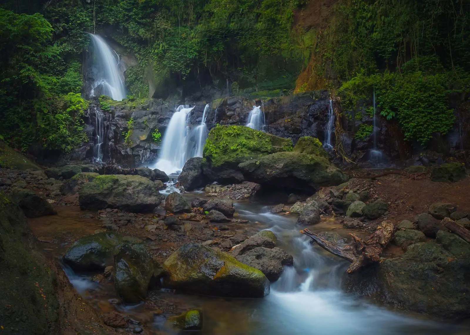 5 Tempat Wisata di Kintamani Bali, Khusus untuk Healing dari Keramaian