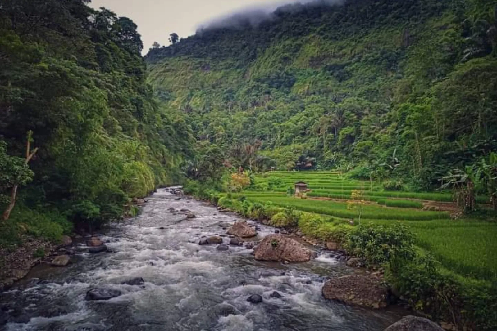 Curug Citambur: Lokasi, Daya Tarik, dan Harga Tiket Masuk