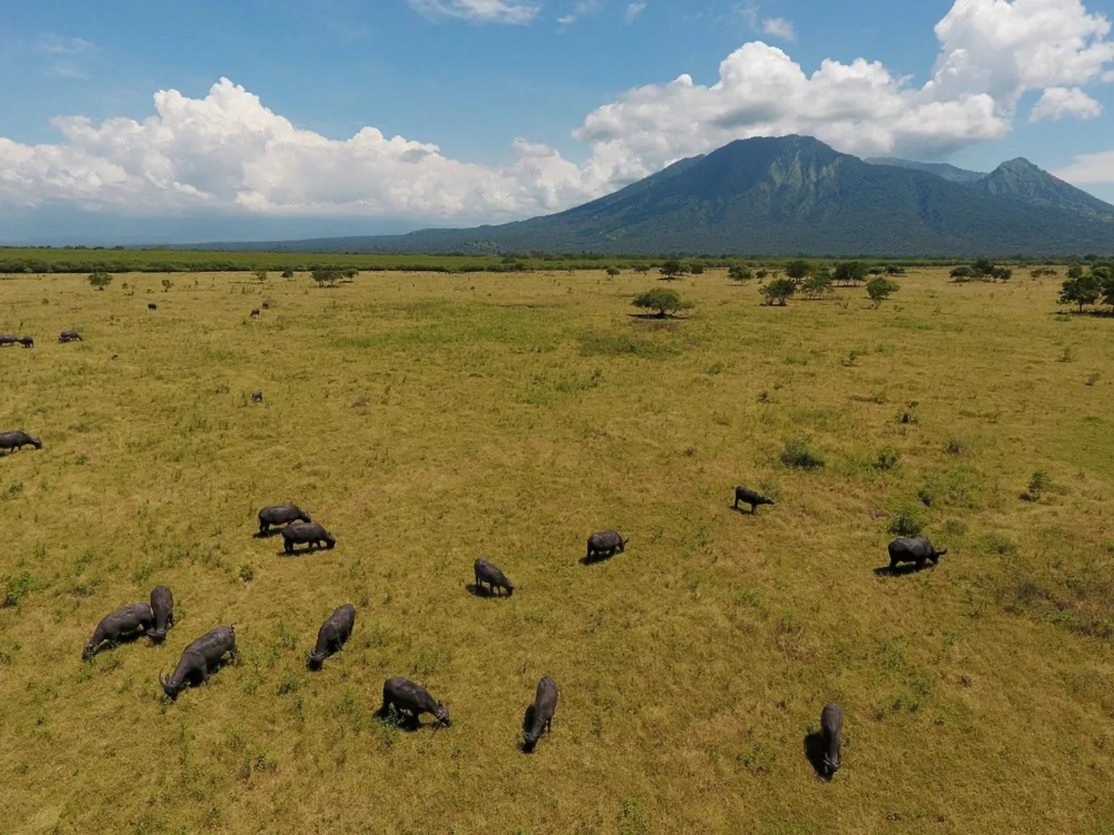 8 Tempat Wisata di Banyuwangi yang Lagi Hits, Pesona Alam Terbaik