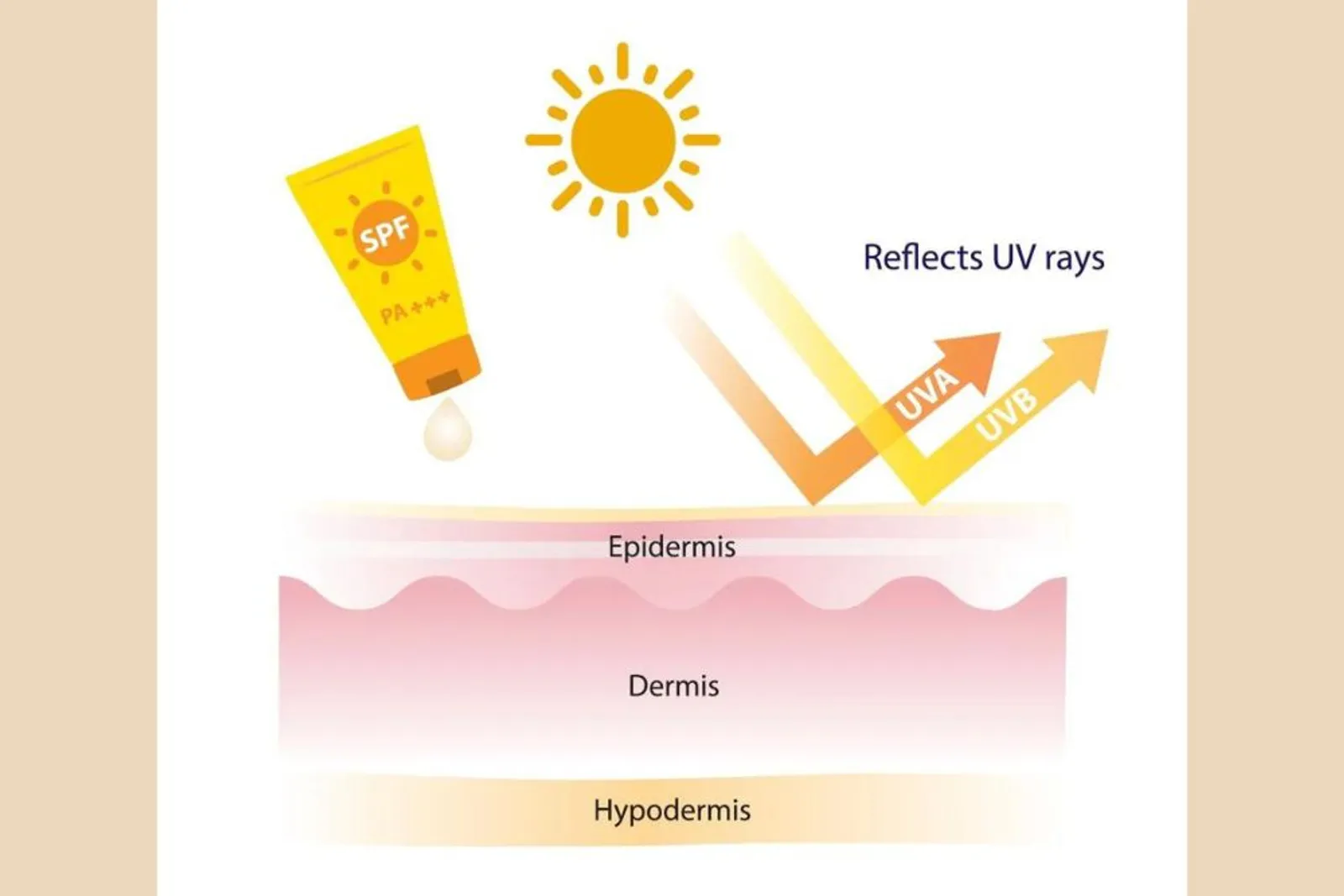 Sunscreen SPF 50 Tahan Berapa Jam? Ini Panduan Lengkapnya!