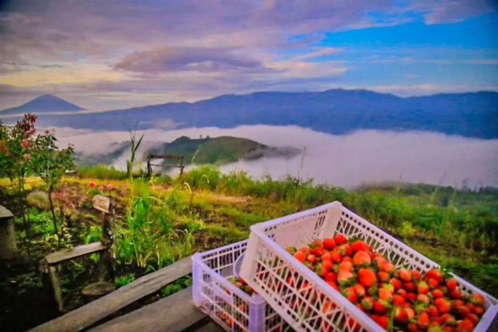 6 Tempat Wisata di Jambi, Wisata Alam Terbaik yang Ramah di Kantong