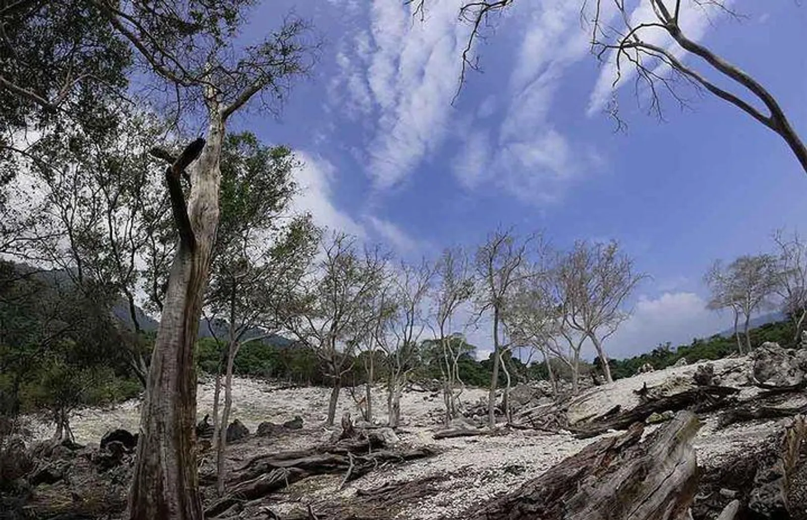 7 Tempat Wisata di Banda Aceh Terbaik dengan Panorama Alam