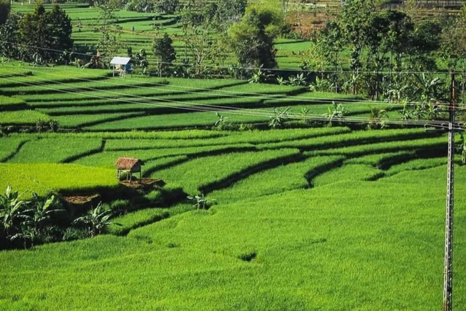 10 Tempat Wisata di Madiun, Punya Spot Foto Instagramable