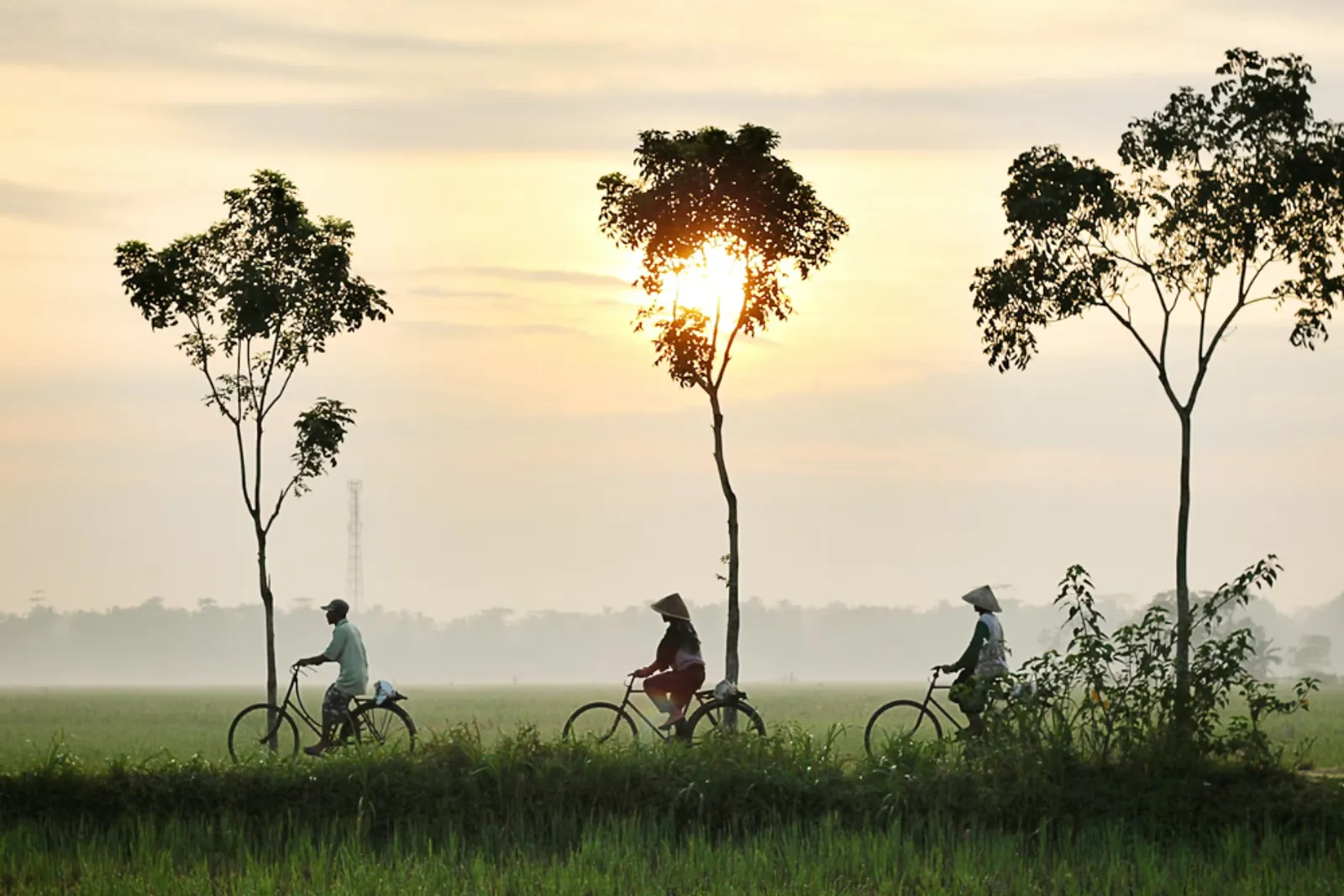 Weton Senin Pahing: Watak, Karier, Asmara dan Jodoh