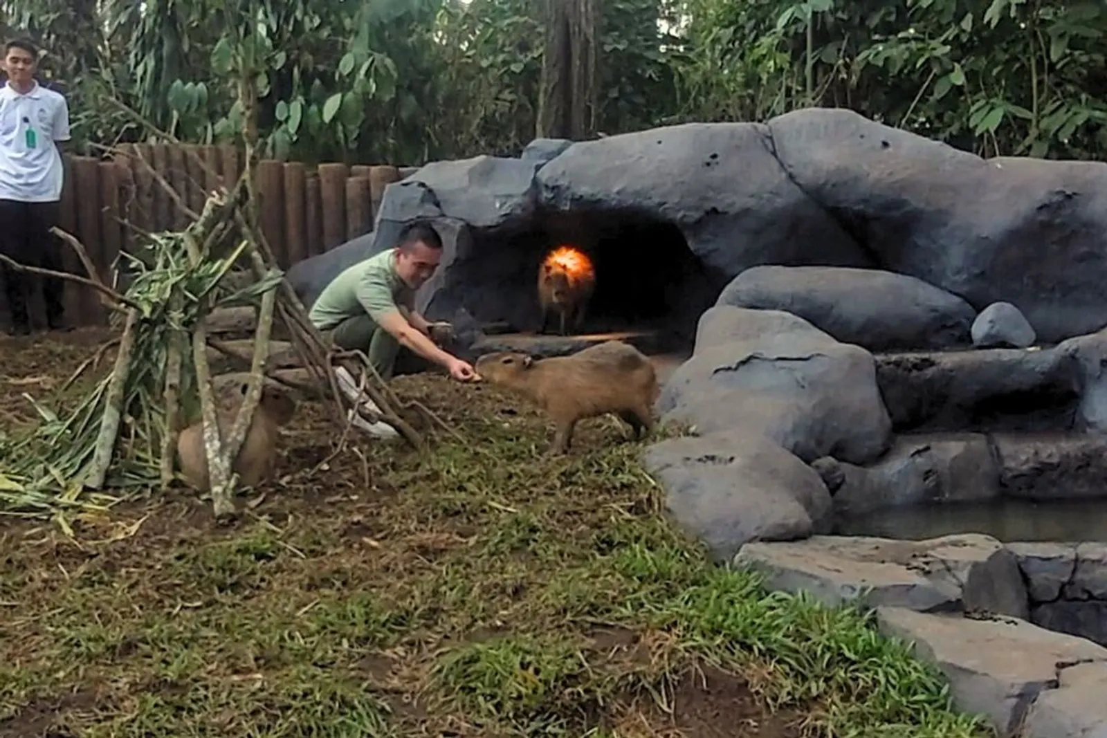 Ide Liburan dengan Orang Tersayang di Wahana Baru Taman Safari Prigen