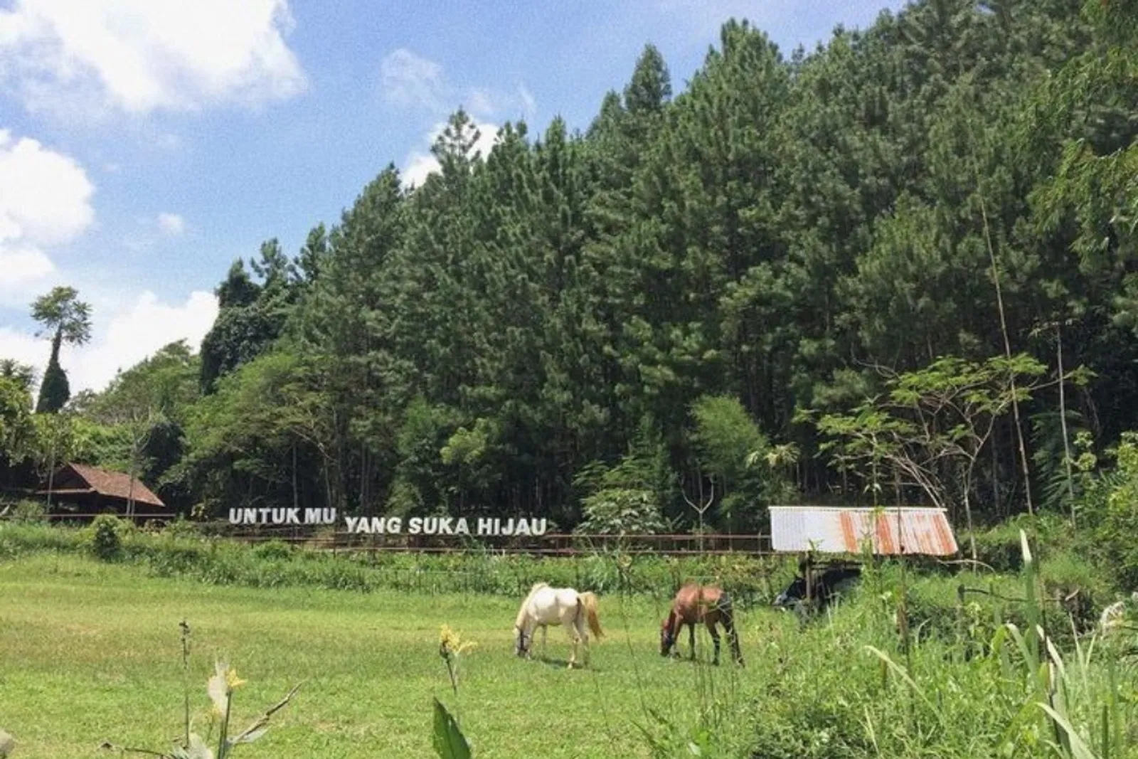 8 Tempat Wisata di Sumedang yang Suguhkan Panorama Alam