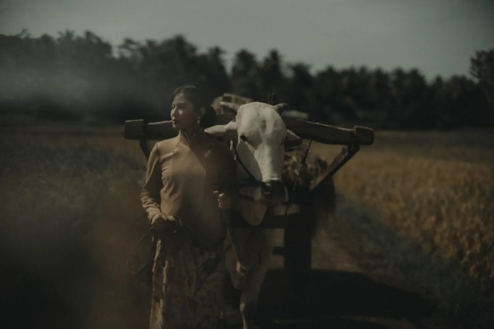 Bakti Budaya Djarum Foundation Rilis Film Mengisahkan Kebaya Indonesia