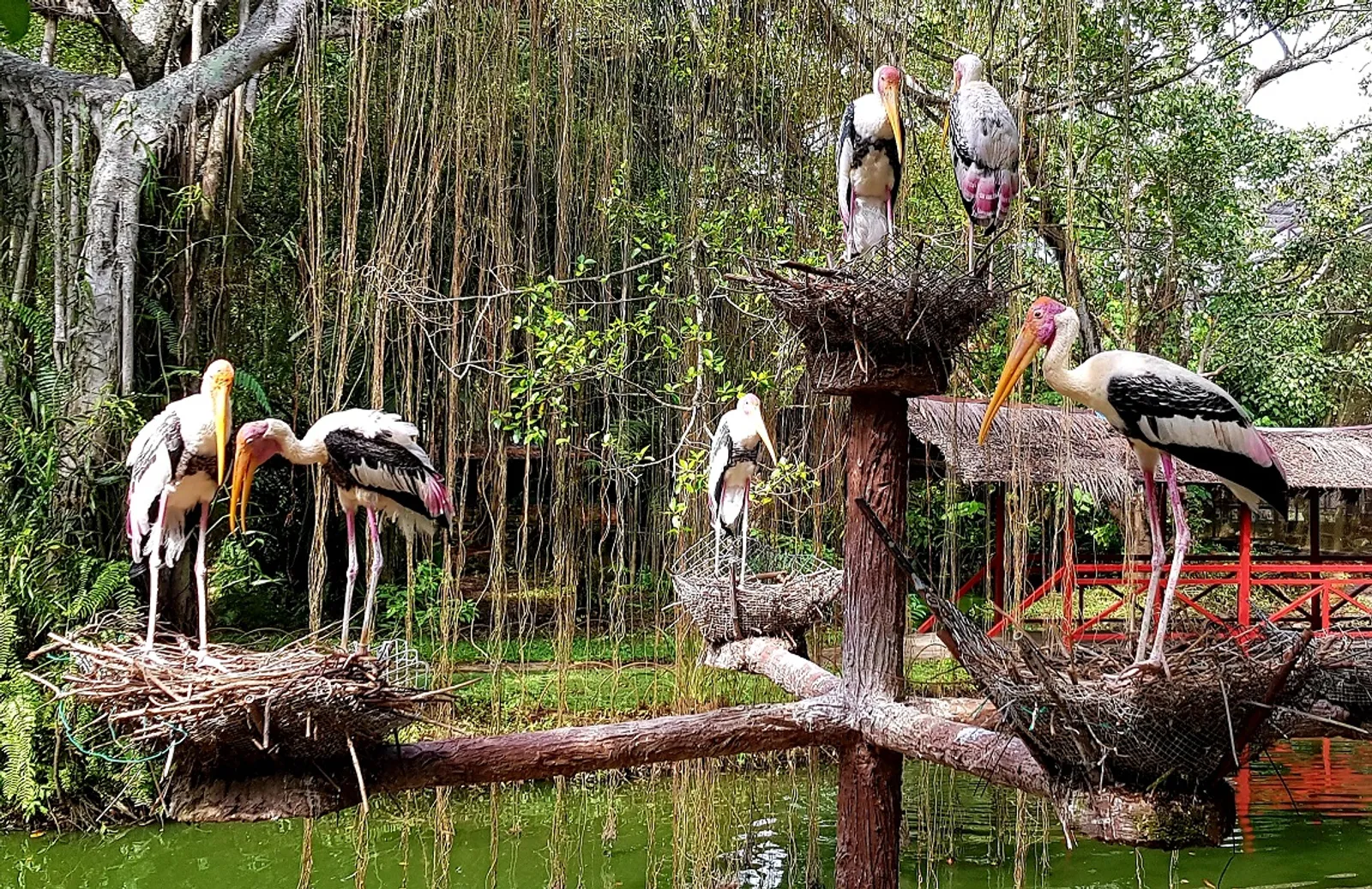 8 Tempat Wisata Keluarga di Penang, Malaysia yang Wajib Dikunjungi