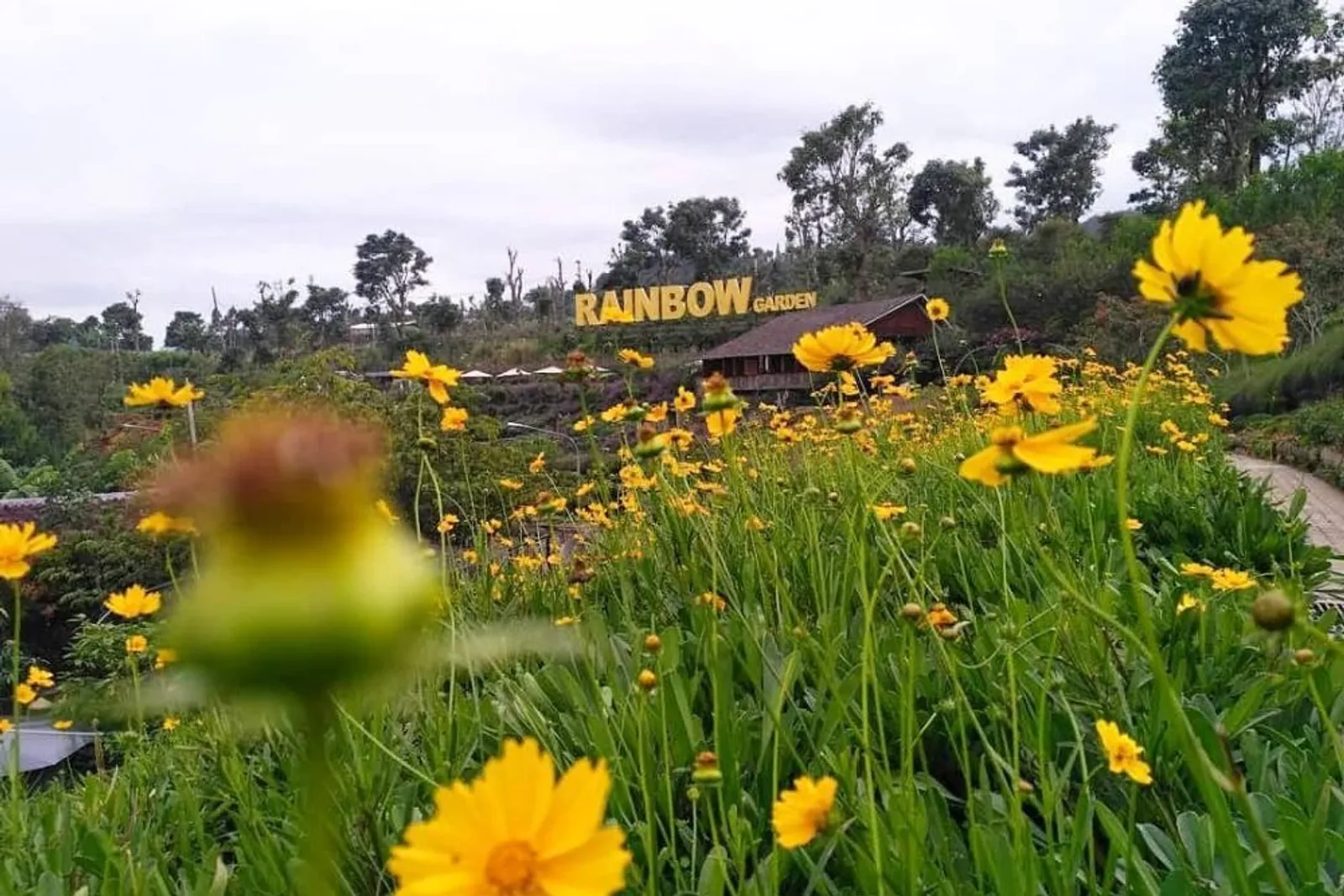 Rainbow Garden Lembang: Lokasi, Tiket, dan Daya Tarik