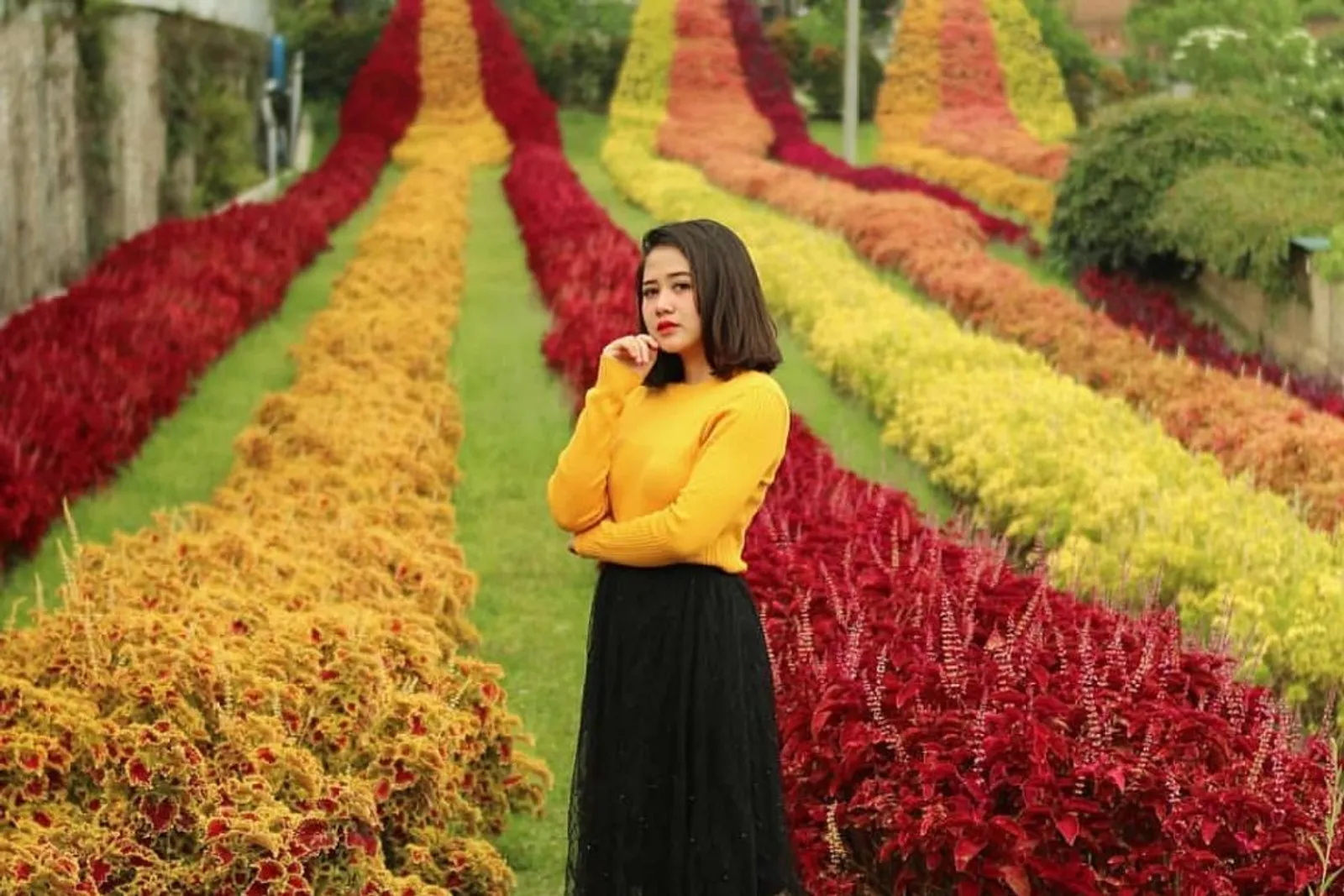 Rainbow Garden Lembang: Lokasi, Tiket, dan Daya Tarik