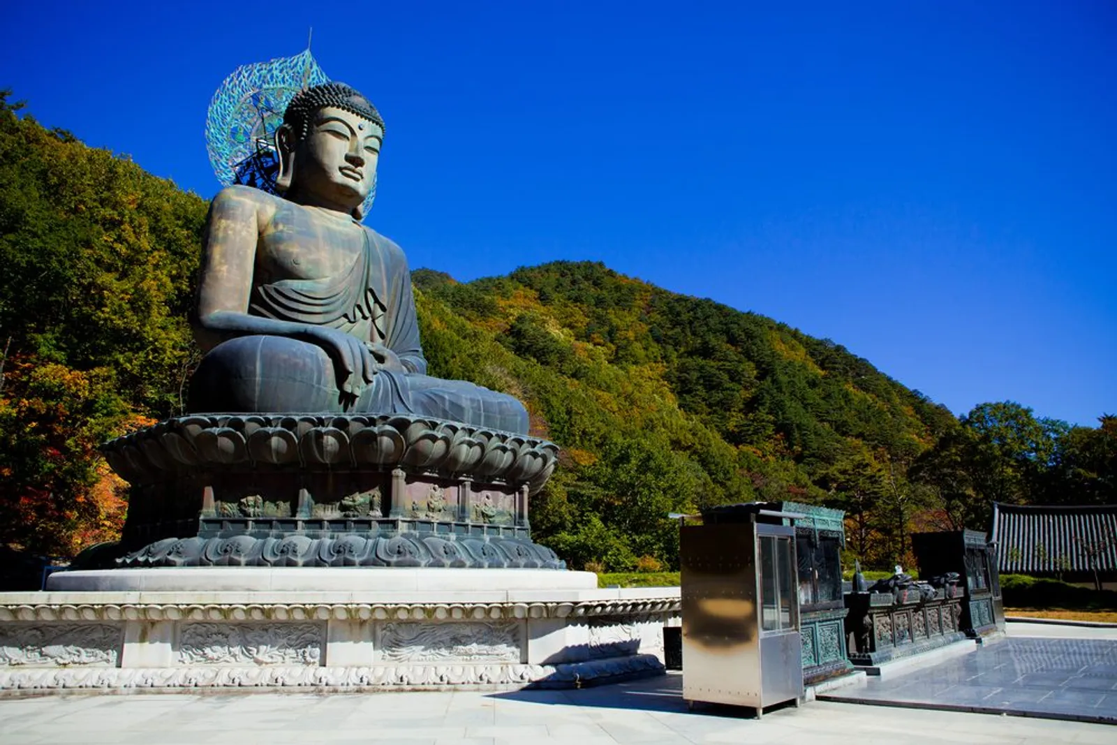 8 Wisata Alam di Korea Selatan yang Cocok untuk Healing