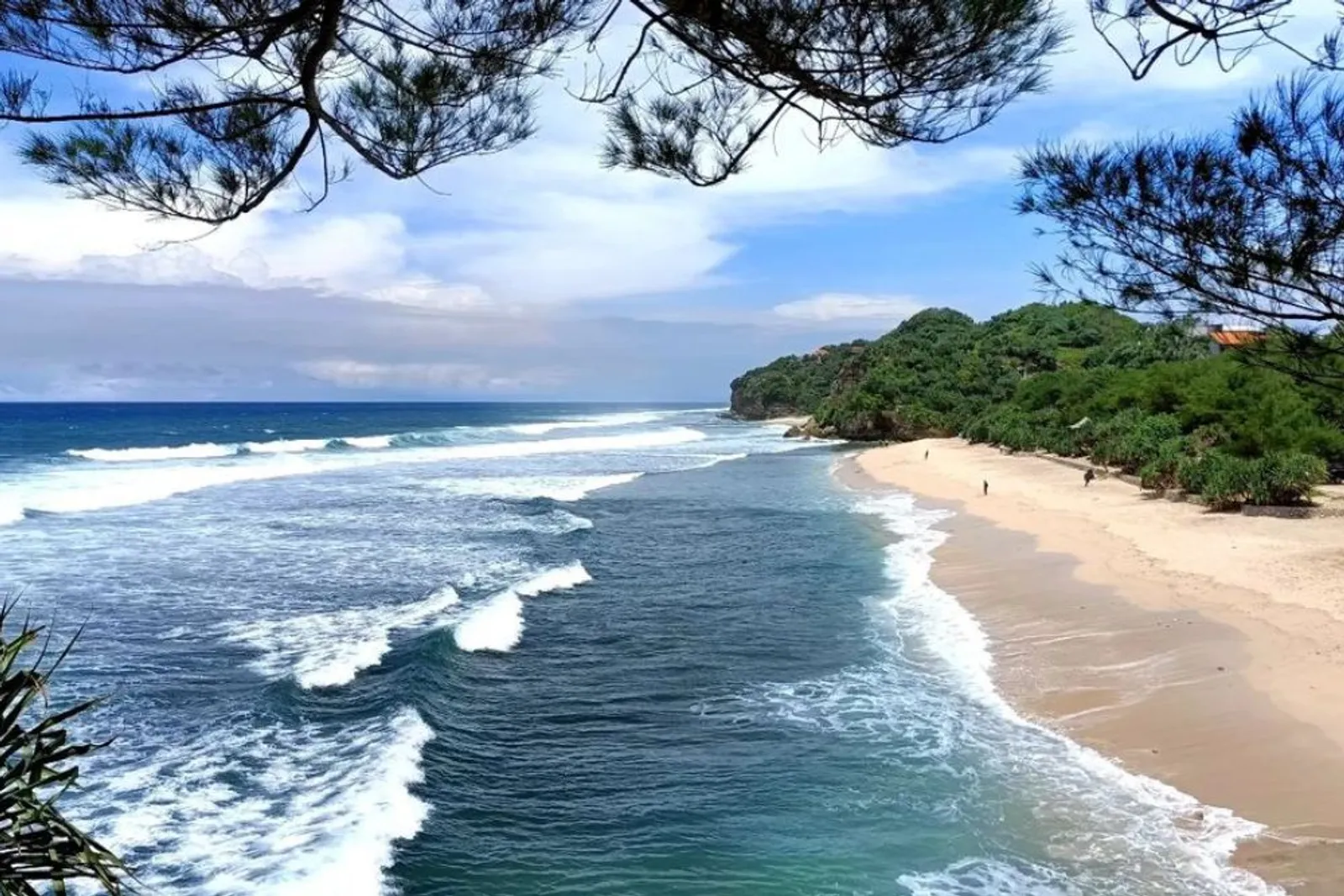 Pantai Drini Gunung Kidul: Lokasi, Tiket, dan Daya Tarik