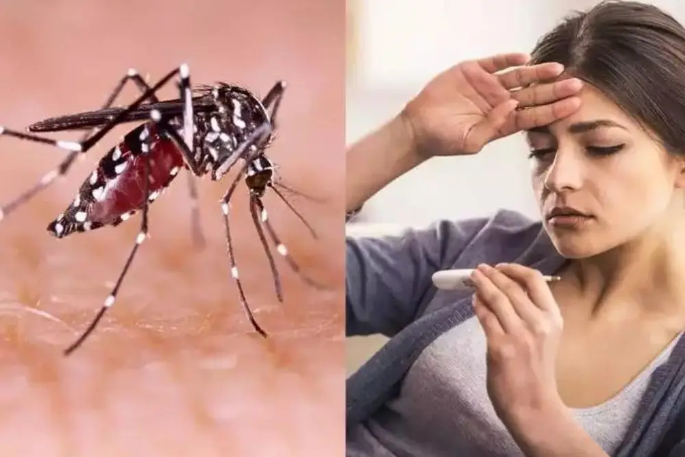 Peringati Asean Dengue Day 2024, Ini Langkah untuk Cegah DBD 