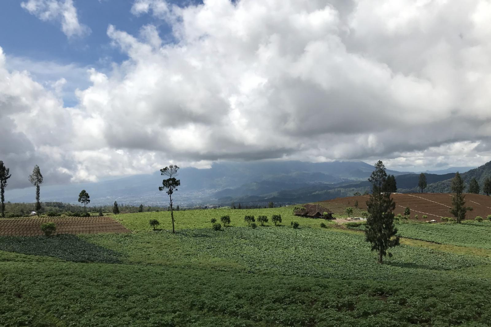 10 Wisata Alam Malang yang Menyejukkan, Lagi Hits!