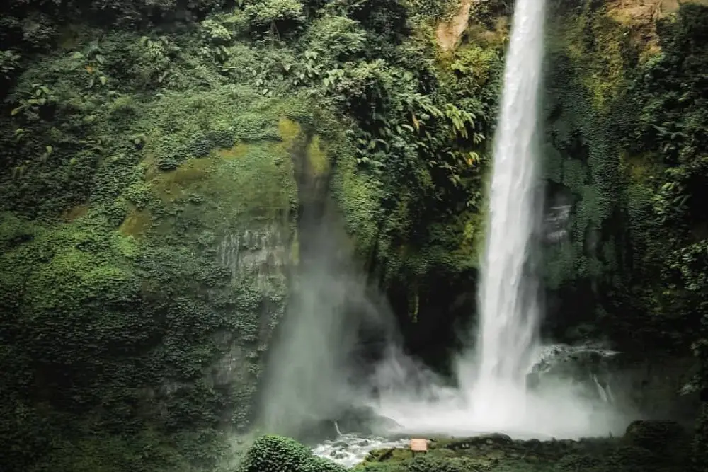 7 Tempat Outbound di Malang, Punya Segudang Aktivitas Seru!