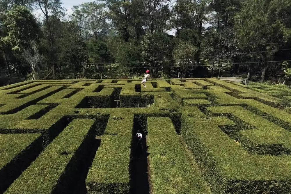 7 Tempat Outbound di Malang, Punya Segudang Aktivitas Seru!