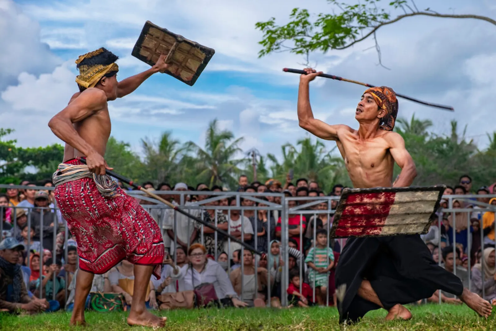 Mengenal Tradisi Peresean Lombok, Menggunakan Senjata dari Rotan?!