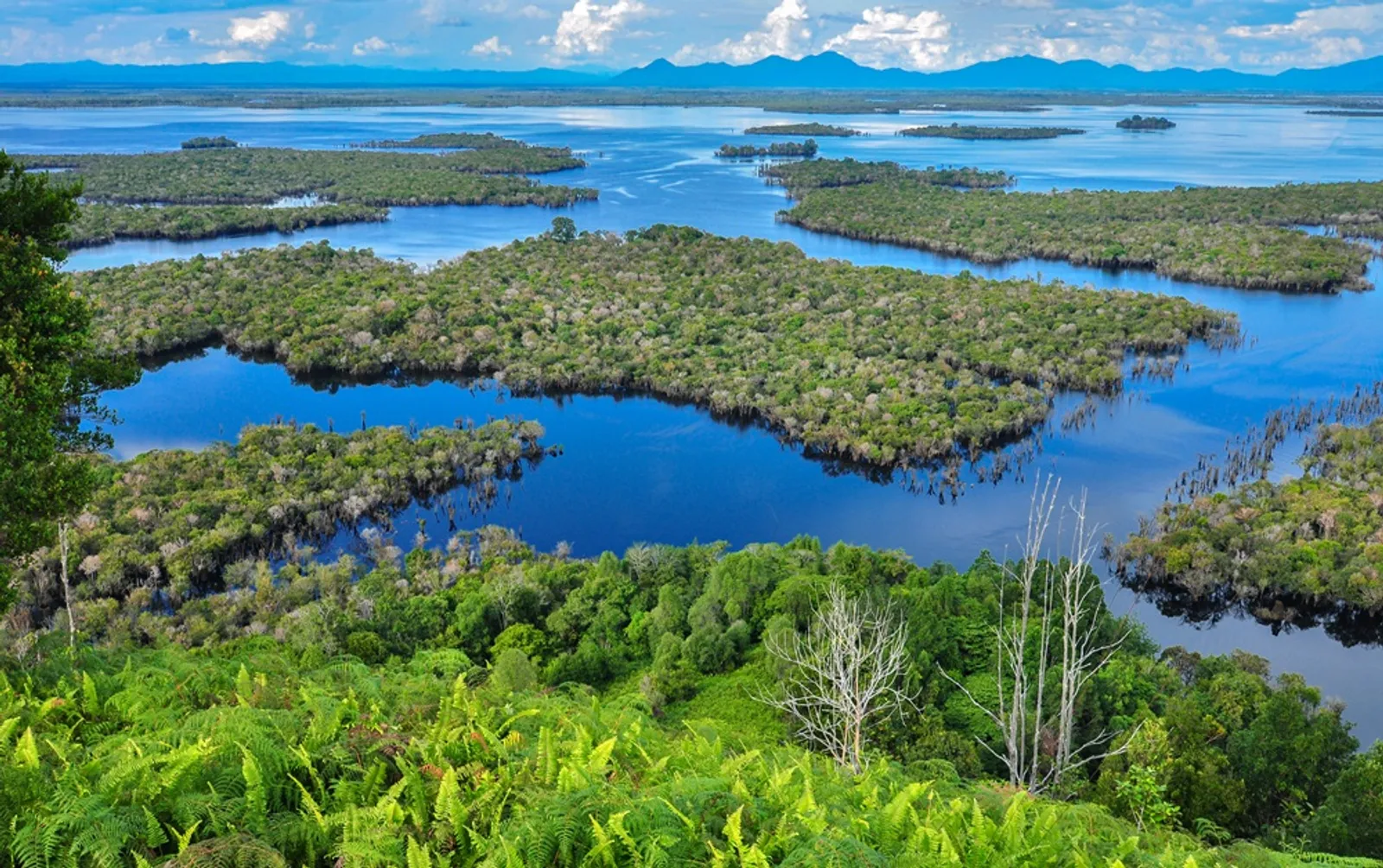 7 Rekomendasi Wisata Kalimantan Barat, Sesekali Main ke Tanah Borneo