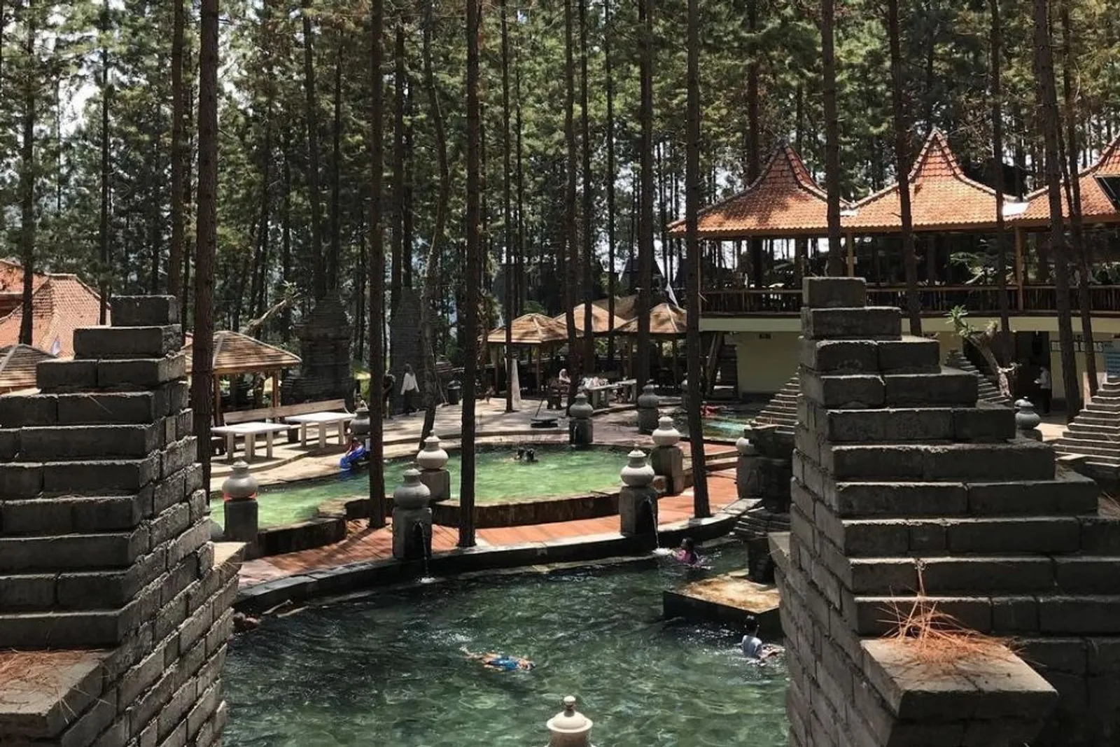 Guci Forest: Lokasi, Tiket, Fasilitas, dan Daya Tarik