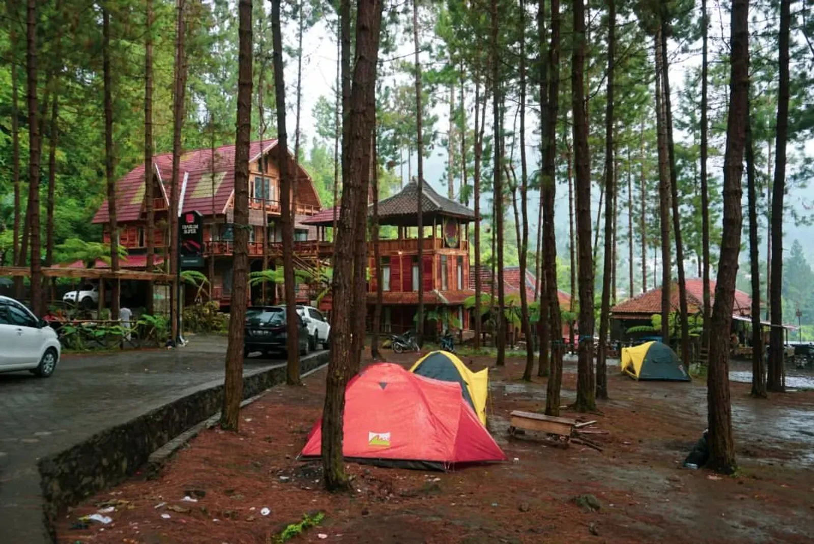 Guci Forest: Lokasi, Tiket, Fasilitas, dan Daya Tarik