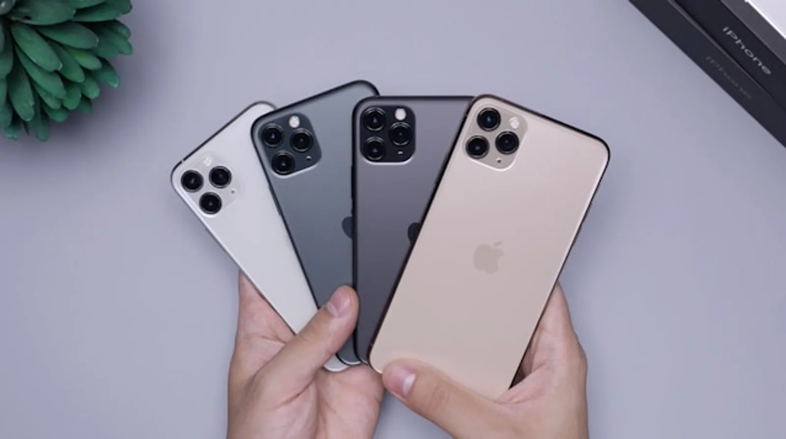 6 Perbedaan iPhone Inter dan iPhone iBox yang Perlu Dipahami 