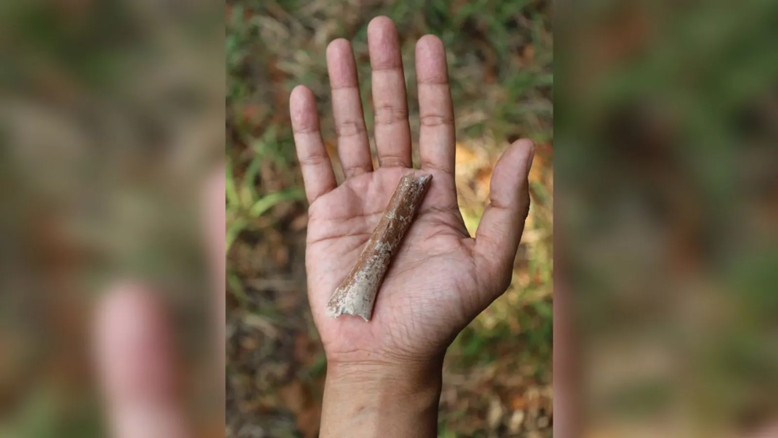 Penemuan Fosil Manusia Hobbit Paling Kecil Tercatat di Pulau Flores