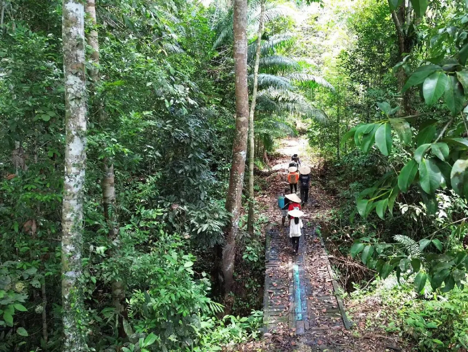 Info Desa Wisata Batu Lintang: Lokasi, Rute, dan Daya Tarik