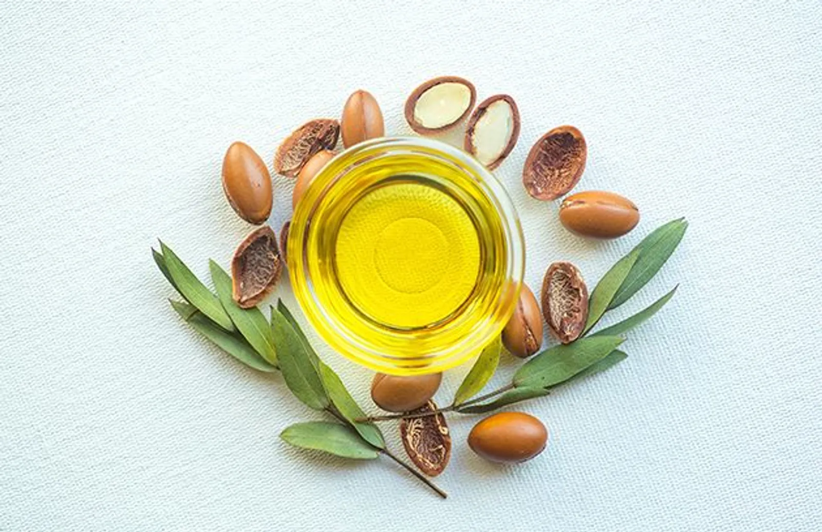 Argan Oil untuk Apa? Ini Manfaat Baiknya!