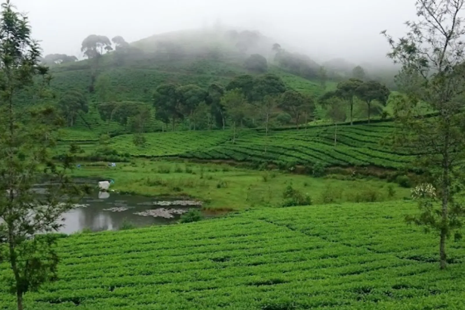 10 Wisata di Pangalengan Bandung Terbaru 2024, Lagi Hits!