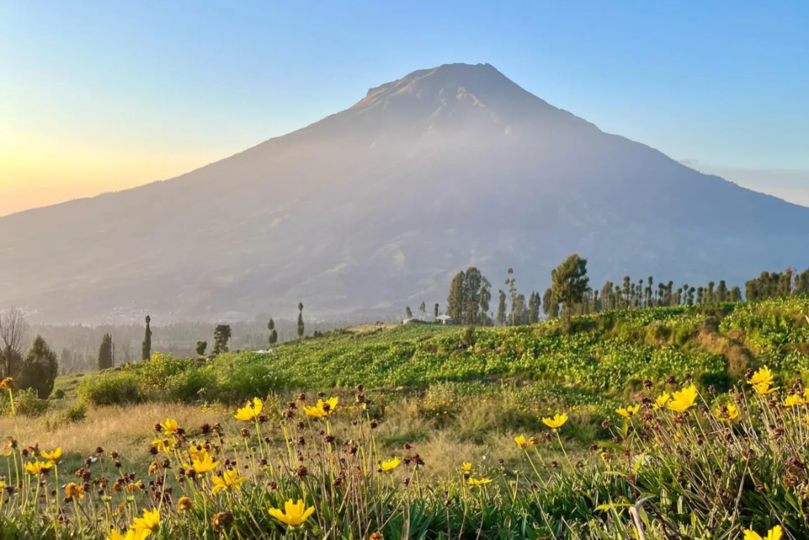 Wisata Alam Posong: Lokasi, Harga Tiket, dan Daya Tariknya