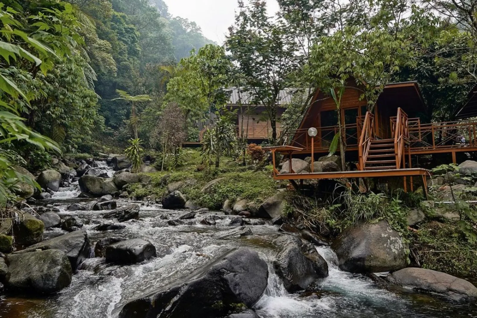 Wisata Taman Kopi Guntang, Glamping Estetik di Ujung Kota Bandung