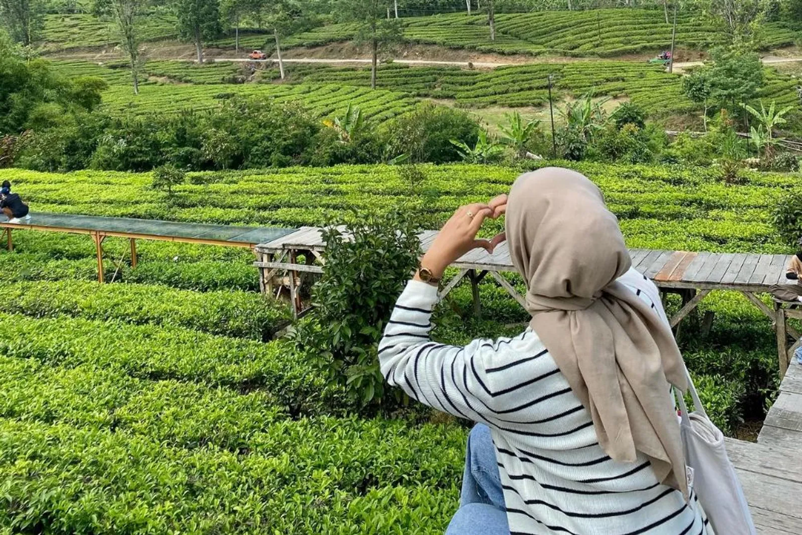 Gunung Mas Tea Bridge: Lokasi, Harga Tiket, dan Daya Tarik